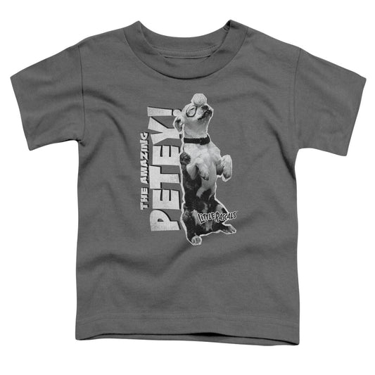 LITTLE RASCALS : AMAZING PETEY S\S TODDLER TEE CHARCOAL SM (2T)
