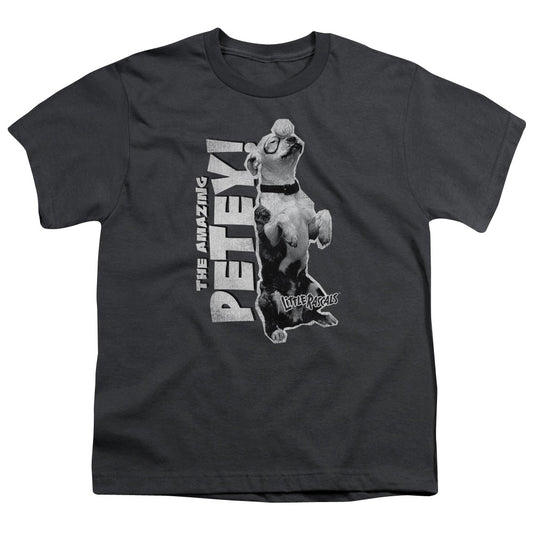 LITTLE RASCALS : AMAZING PETEY S\S YOUTH 18\1 CHARCOAL XS