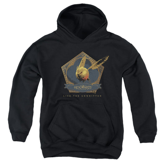 HOGWARTS LEGACY : GOLDEN SNIDGET YOUTH PULL OVER HOODIE Black XL