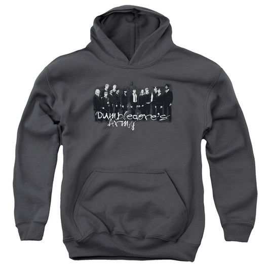 HARRY POTTER AND THE ORDER OF PHOENIX : DA SQUAD YOUTH PULL OVER HOODIE Charcoal LG