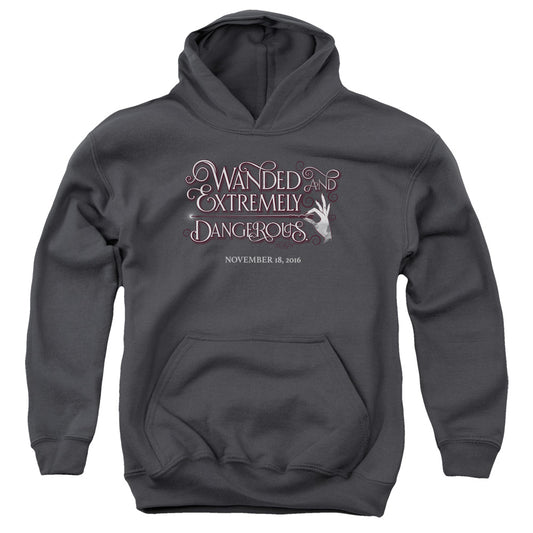 FANTASTIC BEASTS : WANDED YOUTH PULL OVER HOODIE Charcoal LG