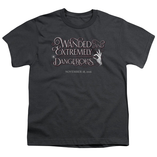 FANTASTIC BEASTS : WANDED S\S YOUTH 18\1 Charcoal XS