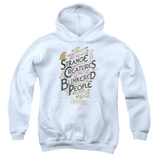 FANTASTIC BEASTS 2 : BLINKERED PEOPLE YOUTH PULL OVER HOODIE White LG