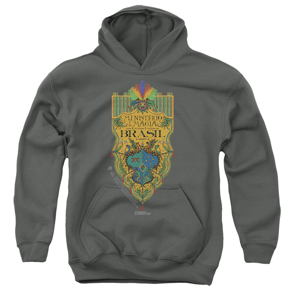 FANTASTIC BEASTS THE SECRETS OF DUMBLEDORE : BRAZIL MINISTRY FLAG YOUTH PULL OVER HOODIE Charcoal LG