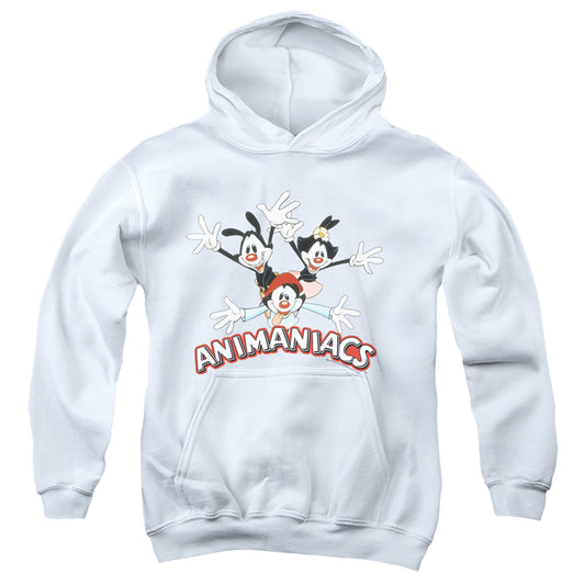 ANIMANIACS : ANIMANIACS TRIO YOUTH PULL OVER HOODIE White LG