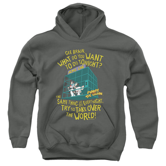 PINKY AND THE BRAIN : THE WORLD YOUTH PULL OVER HOODIE Charcoal LG