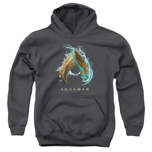 AQUAMAN MOVIE : WATER SHIELD YOUTH PULL OVER HOODIE Charcoal LG