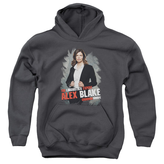 CRIMINAL MINDS : ALEX BLAKE YOUTH PULL OVER HOODIE CHARCOAL LG
