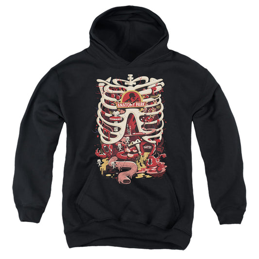 RICK AND MORTY : ANATOMY PARK LOGO YOUTH PULL OVER HOODIE Black LG
