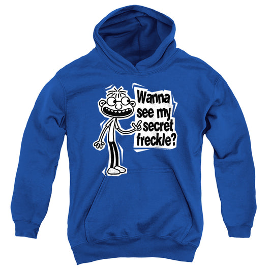 DIARY OF A WIMPY KID : FREGLEY SECRET FRECKLE YOUTH PULL OVER HOODIE Navy LG