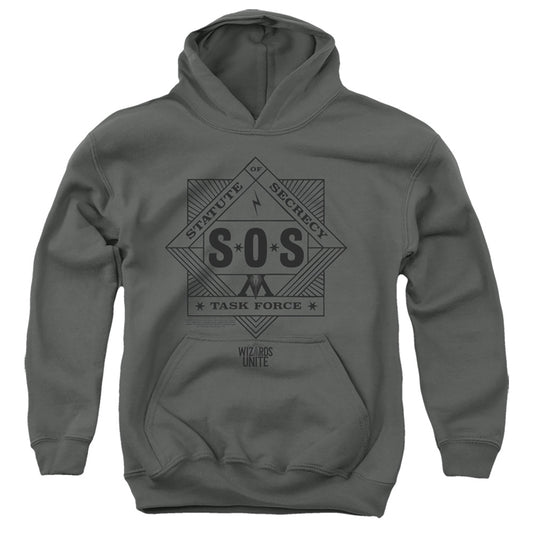HARRY POTTER WIZARDS UNITE : SOS TASK FORCE YOUTH PULL OVER HOODIE Charcoal LG