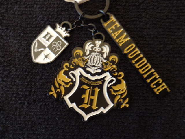 Harry Potter Hogwarts Team Quidditch Keychain