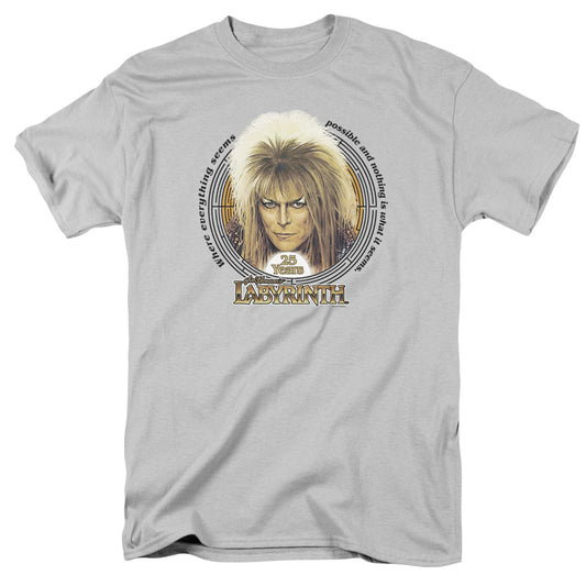 LABYRINTH : 25 YEARS S\S ADULT 18\1 SILVER 2X