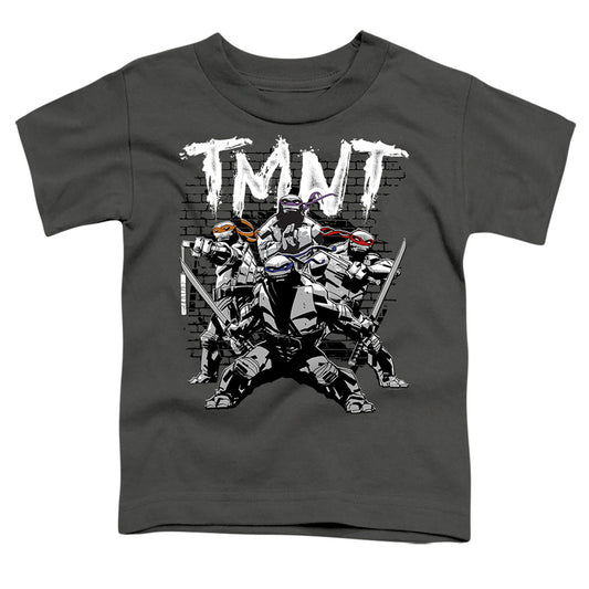 TEENAGE MUTANT NINJA TURTLES : TMNT TEAM S\S TODDLER TEE Charcoal SM (2T)