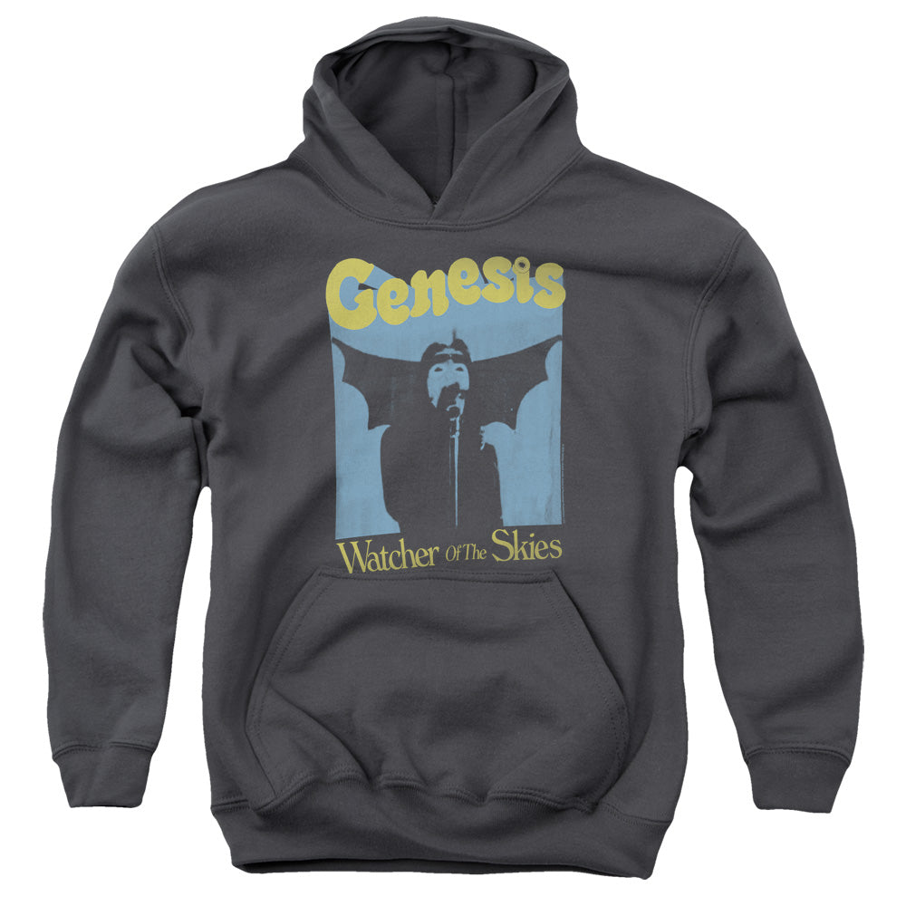 GENESIS : WATCHER OF THE SKIES YOUTH PULL OVER HOODIE Charcoal LG