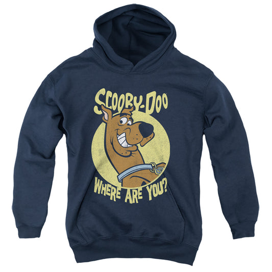 SCOOBY DOO : WHERE ARE YOU YOUTH PULL OVER HOODIE Navy LG