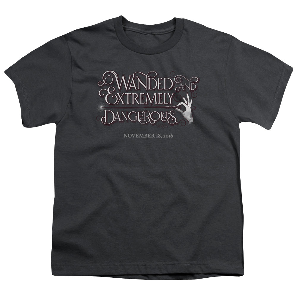 FANTASTIC BEASTS : WANDED S\S YOUTH 18\1 Charcoal LG