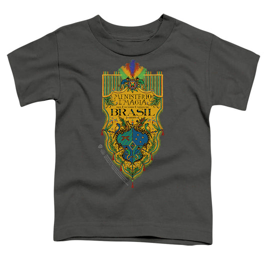 FANTASTIC BEASTS THE SECRETS OF DUMBLEDORE : BRAZIL MINISTRY FLAG S\S TODDLER TEE Charcoal LG (4T)