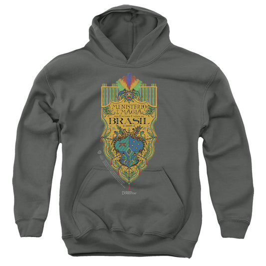 FANTASTIC BEASTS THE SECRETS OF DUMBLEDORE : BRAZIL MINISTRY FLAG YOUTH PULL OVER HOODIE Charcoal LG