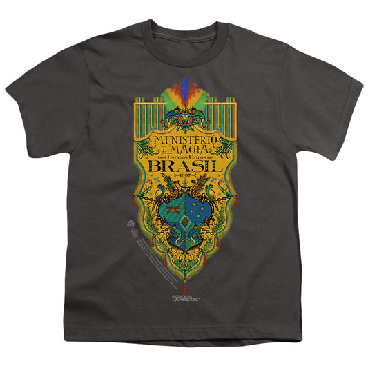 FANTASTIC BEASTS THE SECRETS OF DUMBLEDORE : BRAZIL MINISTRY FLAG S\S YOUTH 18\1 Charcoal MD