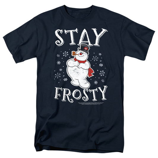 FROSTY THE SNOWMAN : STAY FROSTY S\S ADULT 18\1 Slate 2X