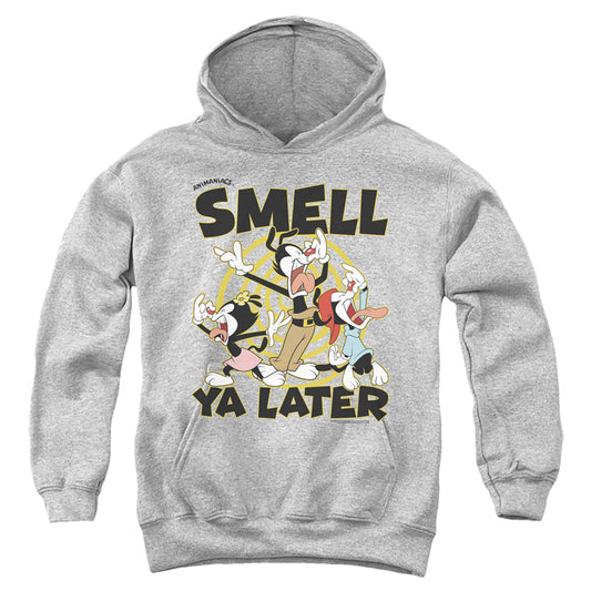 ANIMANIACS : SMELL YA LATER YOUTH PULL OVER HOODIE Athletic Heather LG
