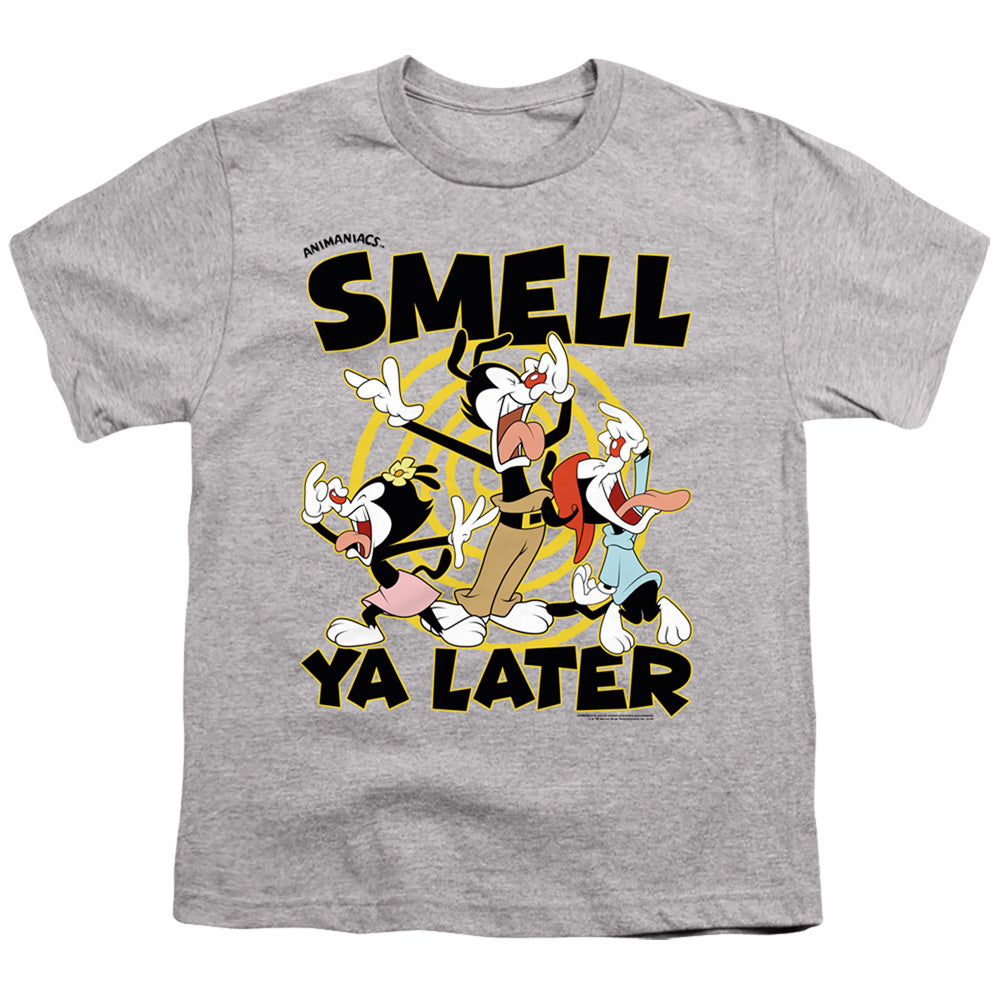 ANIMANIACS : SMELL YA LATER S\S YOUTH 18\1 Athletic Heather LG