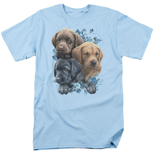 WILD WINGS : PUPPY PILE S\S ADULT 18\1 Light Blue 2X