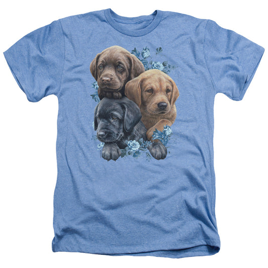 WILD WINGS : PUPPY PILE ADULT HEATHER Light Blue 2X
