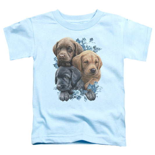 WILD WINGS : PUPPY PILE S\S TODDLER TEE Light Blue LG (4T)