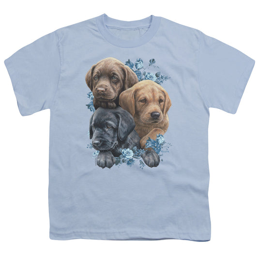 WILD WINGS : PUPPY PILE S\S YOUTH 18\1 Light Blue LG