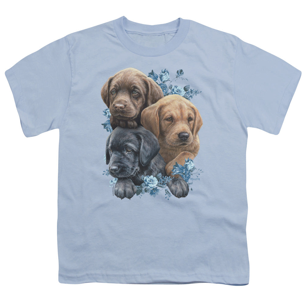 WILD WINGS : PUPPY PILE S\S YOUTH 18\1 Light Blue MD