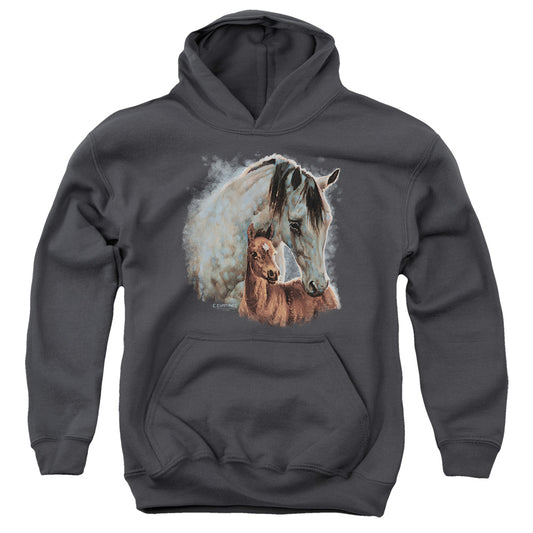 WILD WINGS : PAINTED HORSES YOUTH PULL OVER HOODIE Charcoal LG