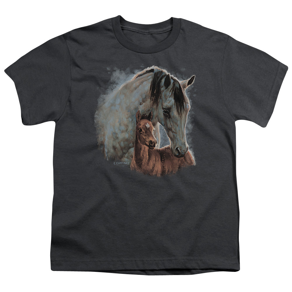 WILD WINGS : PAINTED HORSES S\S YOUTH 18\1 Charcoal XL