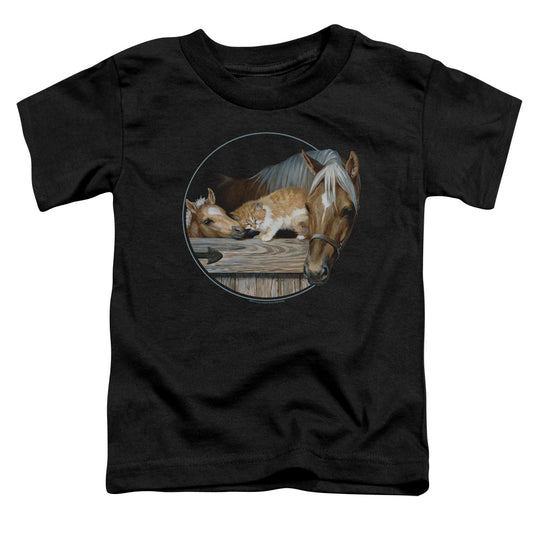 WILD WINGS : EVERYONE LOVES KITTY S\S TODDLER TEE Black SM (2T)