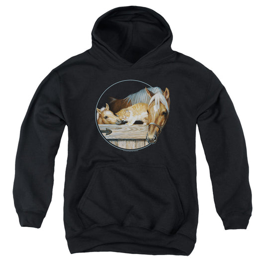 WILD WINGS : EVERYONE LOVES KITTY YOUTH PULL OVER HOODIE Black LG