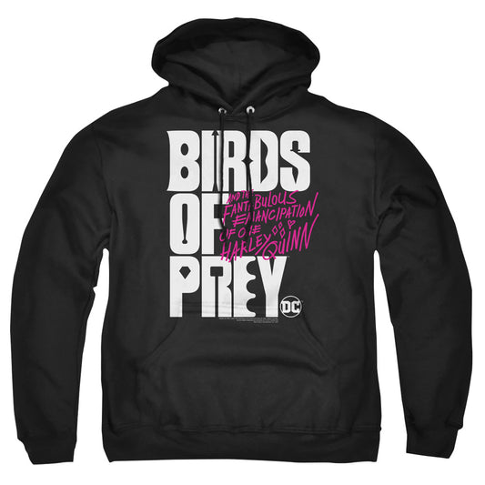 BIRDS OF PREY : BIRDS OF PREY LOGO ADULT PULL OVER HOODIE Black 2X