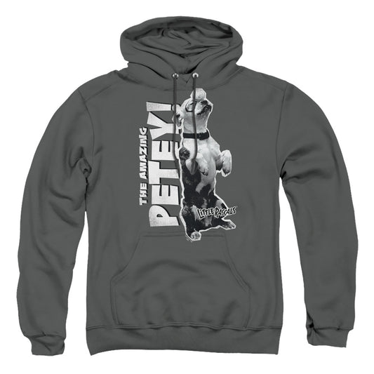 LITTLE RASCALS : AMAZING PETEY ADULT PULL OVER HOODIE Charcoal 2X