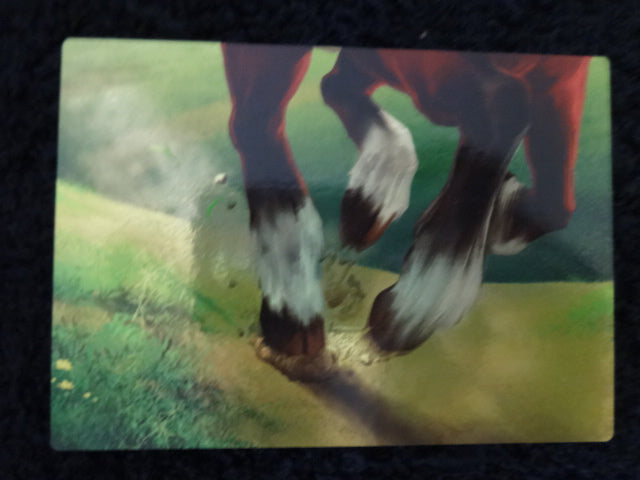 Hyrule Field Enterplay 2016 Legend Of Zelda Collectable Trading Card Number 103