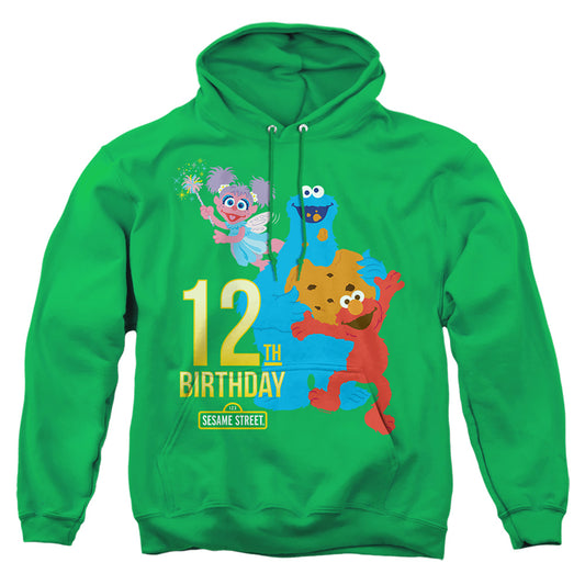SESAME STREET : 12TH BIRTHDAY ADULT PULL OVER HOODIE Kelly Green MD