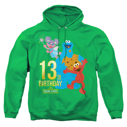 SESAME STREET : 13TH BIRTHDAY ADULT PULL OVER HOODIE Kelly Green MD