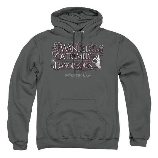 FANTASTIC BEASTS : WANDED ADULT PULL OVER HOODIE Charcoal LG