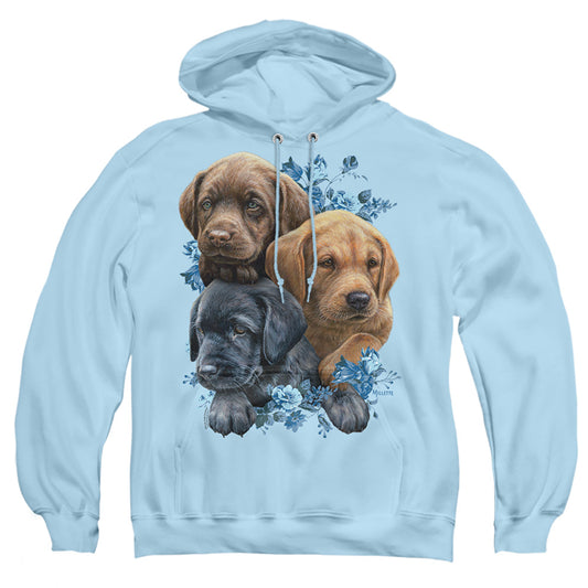 WILD WINGS : PUPPY PILE ADULT PULL OVER HOODIE LIGHT BLUE 2X